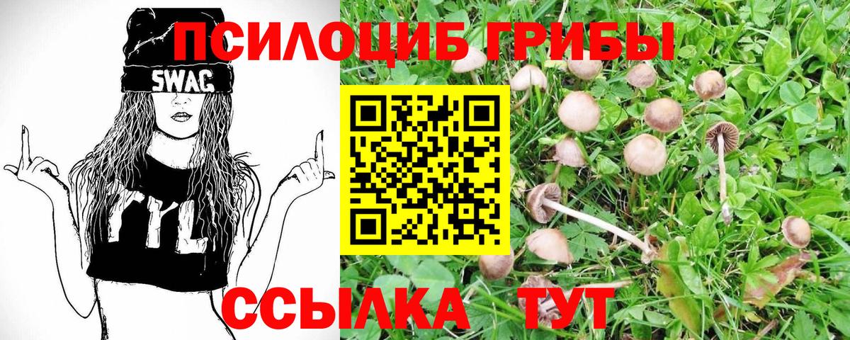Псилоцибиновые грибы Psilocybine cubensis  Вход с VPN  Кириши 